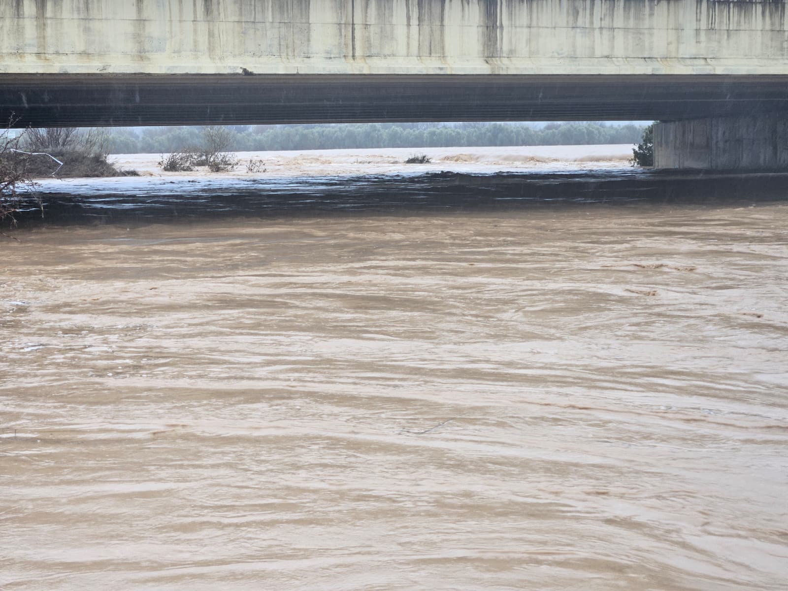 WhatsApp Image 2026 02 04 at 15.38.22