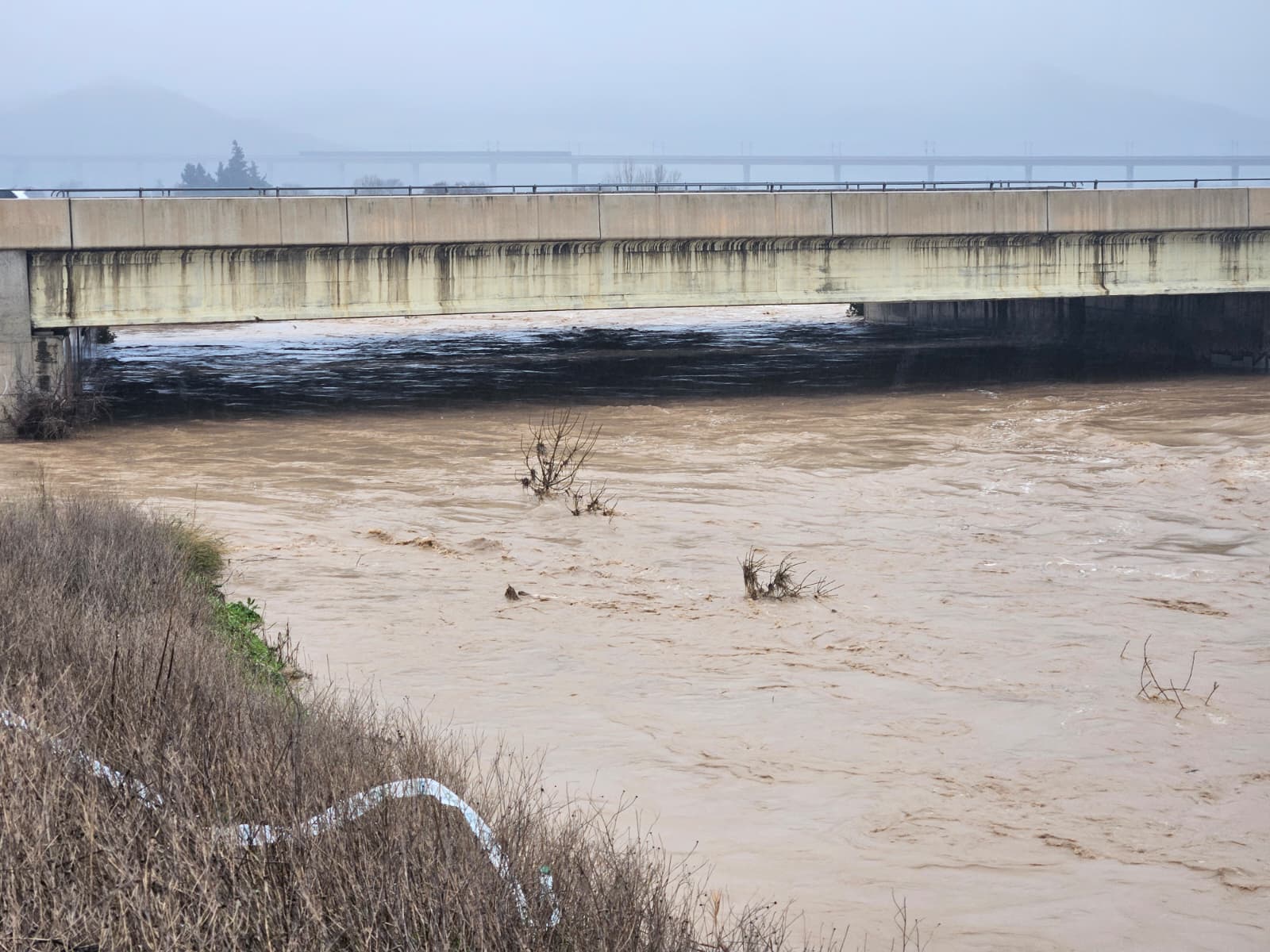 WhatsApp Image 2026 02 04 at 15.38.23