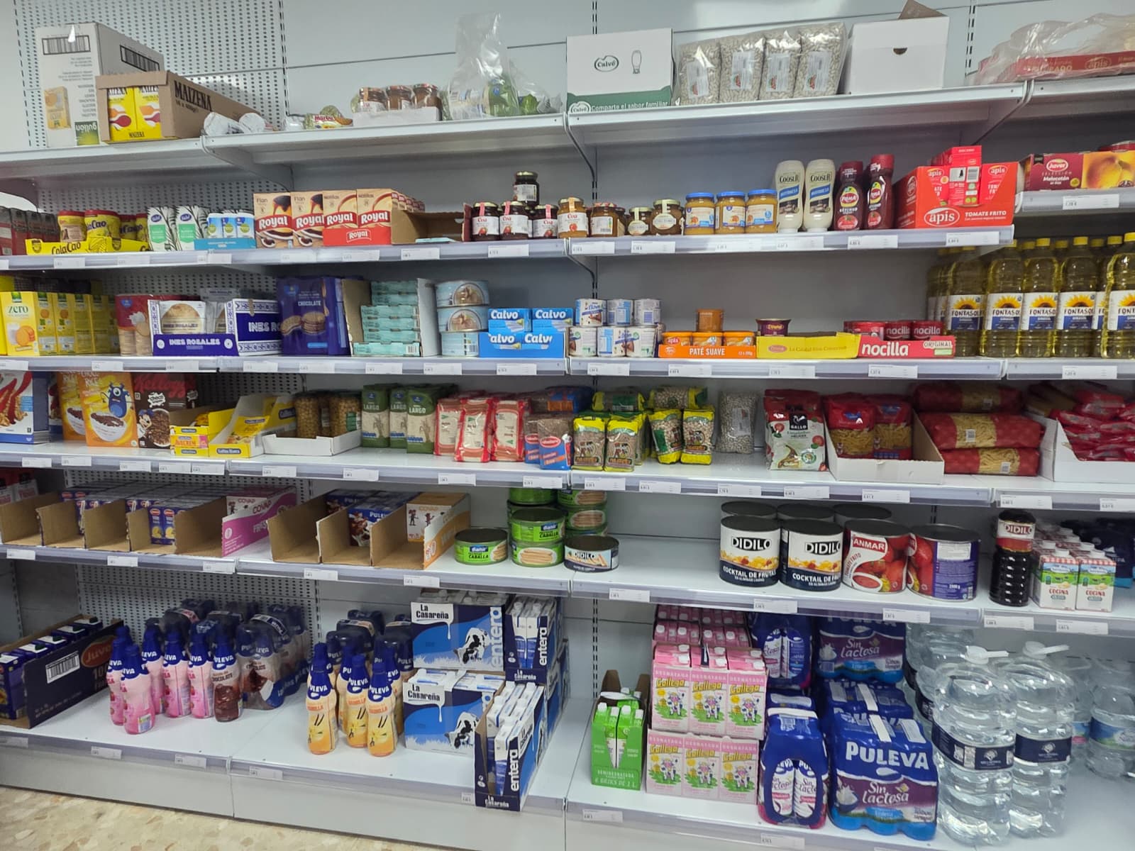 WhatsApp Image 2026 02 05 at 12.56.25