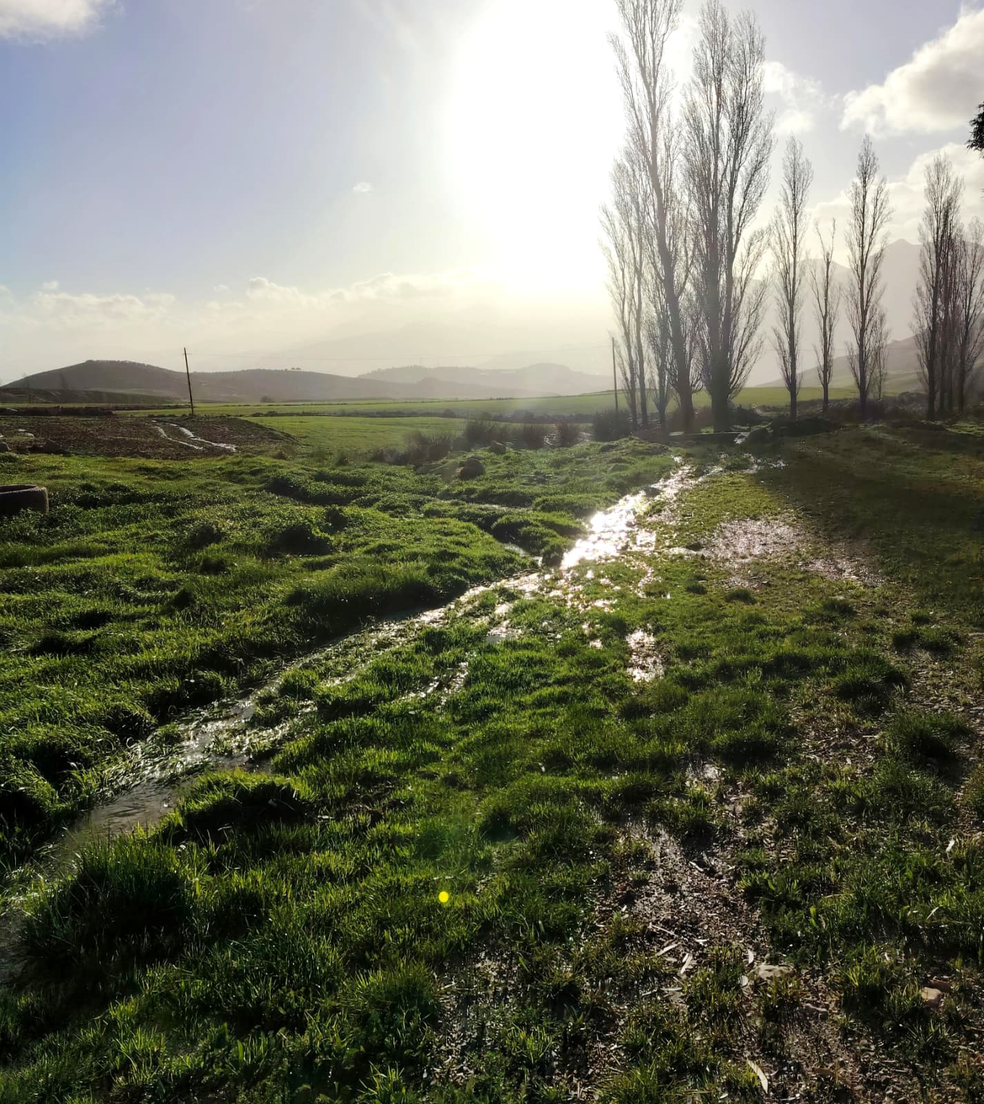 WhatsApp Image 2026 02 09 at 13.50.16