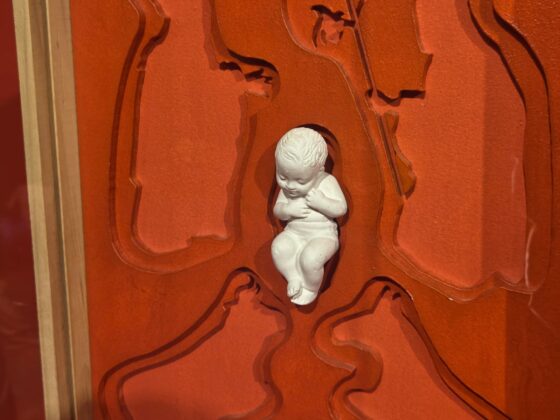 WhatsApp Image 2026 02 10 at 10.17.22 2