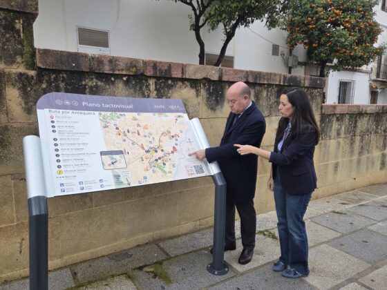 WhatsApp Image 2026 02 11 at 12.59.55