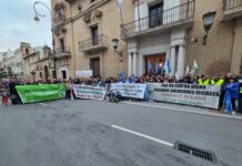 GALERÍA | Manifestación del IES Los Colegiales por «un centro digno»