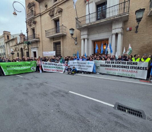 GALERÍA | Manifestación del IES Los Colegiales por «un centro digno»