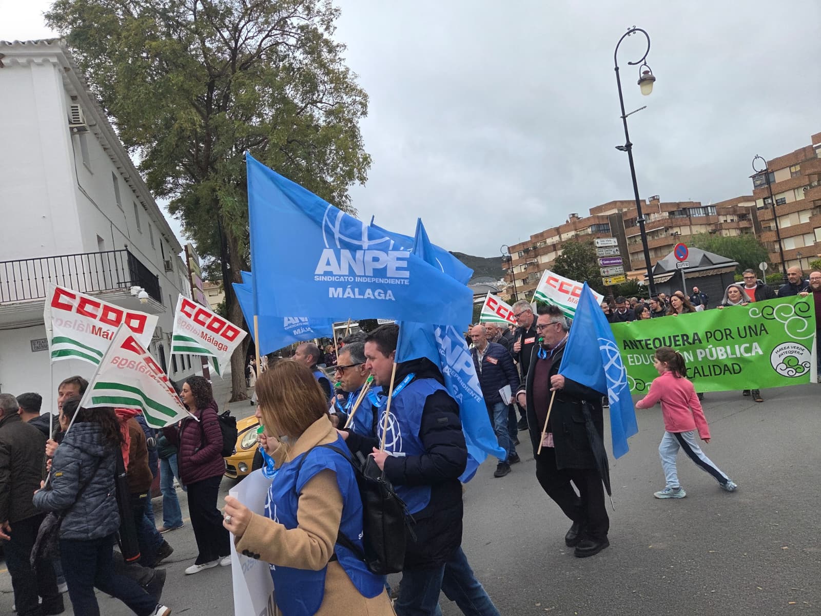 WhatsApp Image 2026 02 11 at 18.37.19