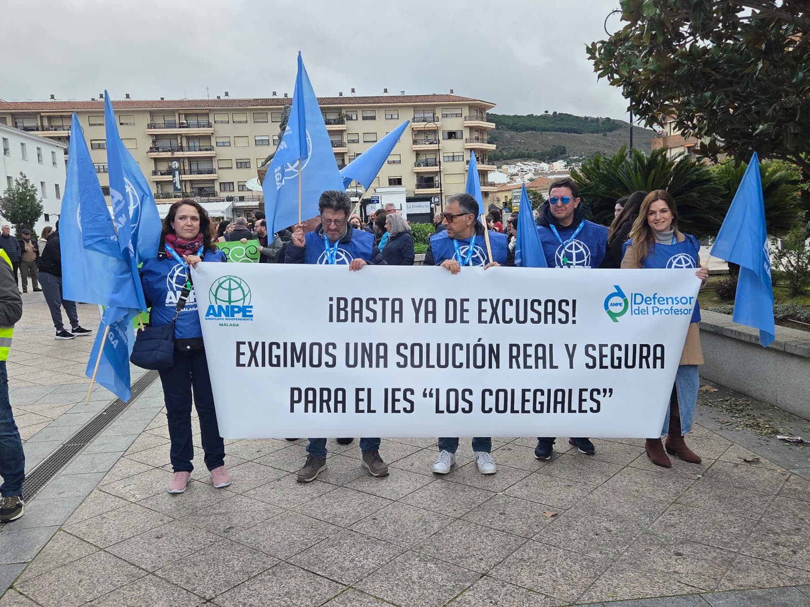 WhatsApp Image 2026 02 11 at 18.37.22 2