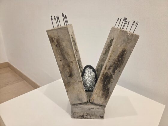 WhatsApp Image 2026 02 12 at 12.35.18 1