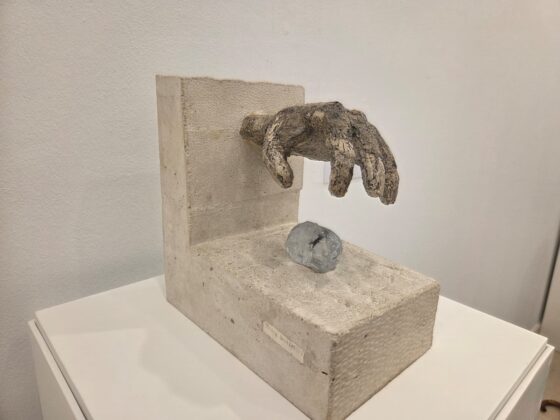 WhatsApp Image 2026 02 12 at 12.35.20 2