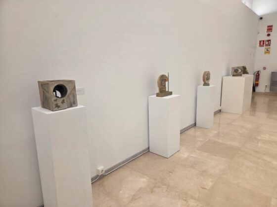 WhatsApp Image 2026 02 12 at 12.35.21 1