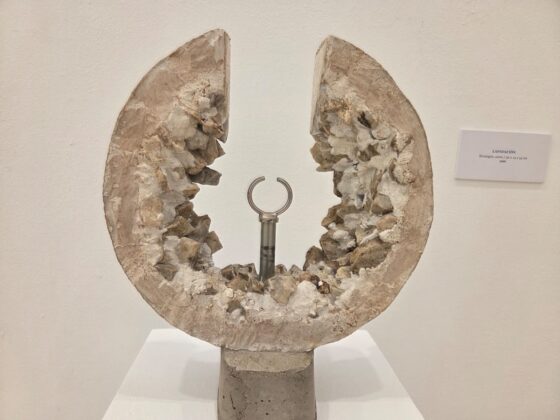 WhatsApp Image 2026 02 12 at 12.35.24 1