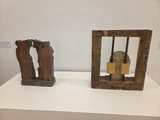 WhatsApp Image 2026 02 12 at 12.35.24