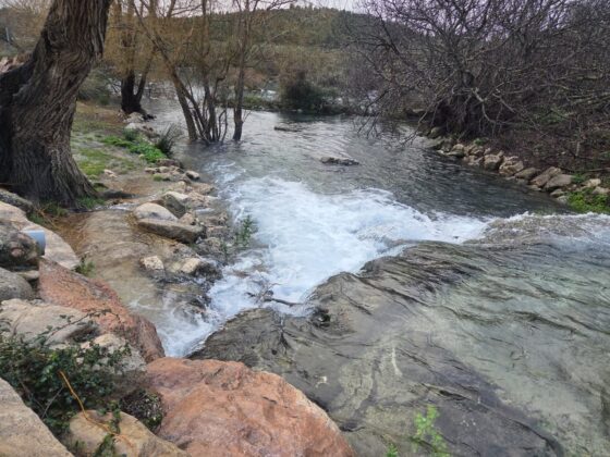 WhatsApp Image 2026 02 13 at 10.22.21