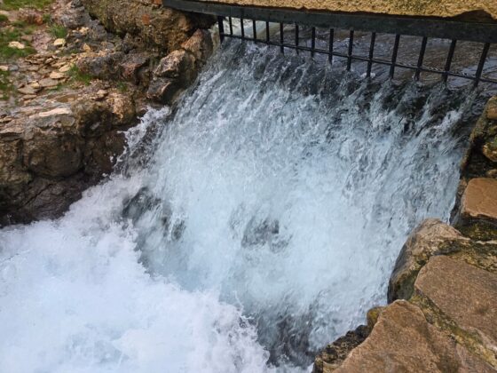 WhatsApp Image 2026 02 13 at 10.22.27