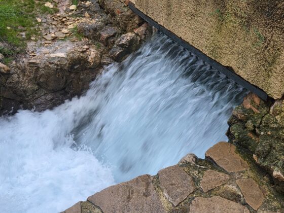 WhatsApp Image 2026 02 13 at 10.22.33