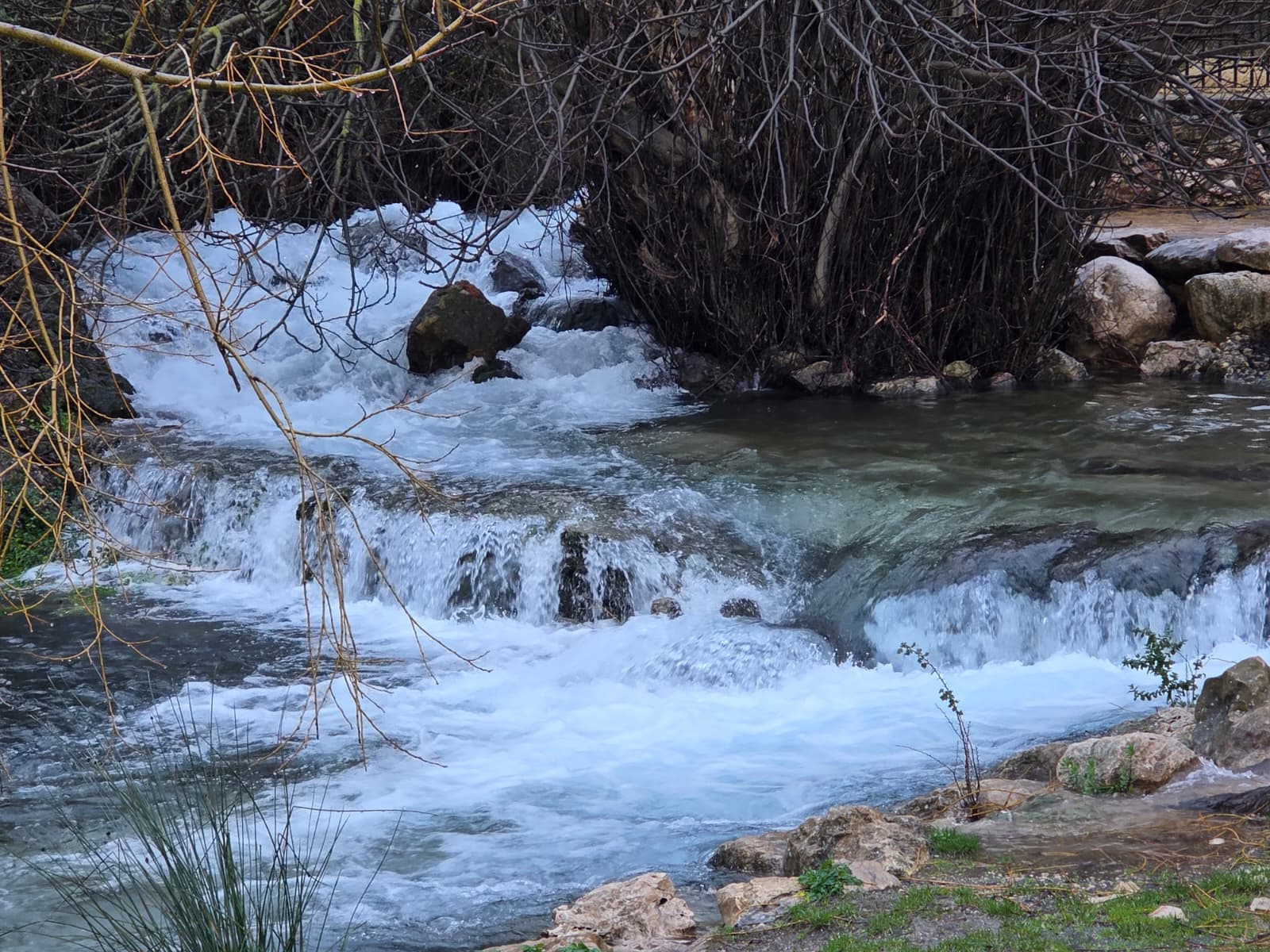 El espectáculo natural del Nacimiento de la Villa tras las lluvias 10 WhatsApp Image 2026 02 13 at 10.22.46