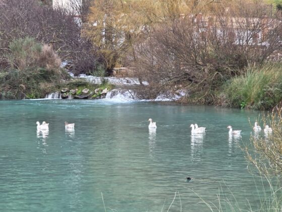 WhatsApp Image 2026 02 13 at 10.24.20