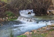 El espectáculo natural del Nacimiento de la Villa tras las lluvias
