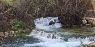 El espectáculo natural del Nacimiento de la Villa tras las lluvias