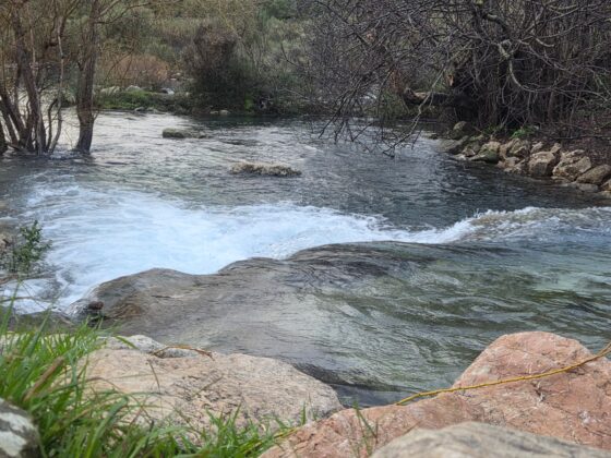 WhatsApp Image 2026 02 13 at 10.24.25