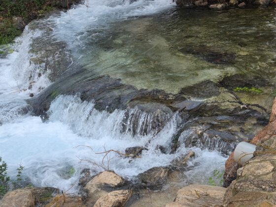 WhatsApp Image 2026 02 13 at 10.24.26