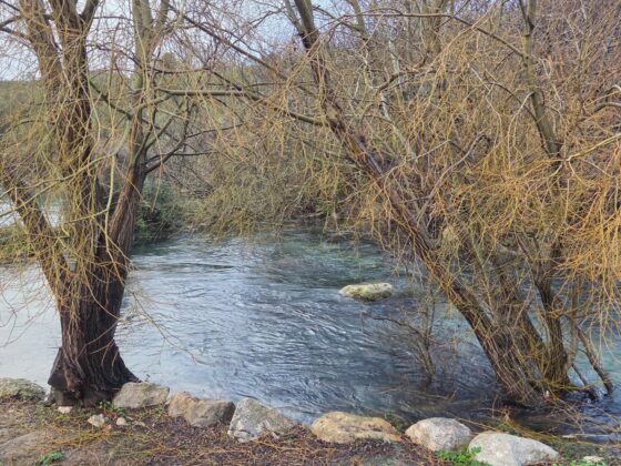 WhatsApp Image 2026 02 13 at 10.24.28