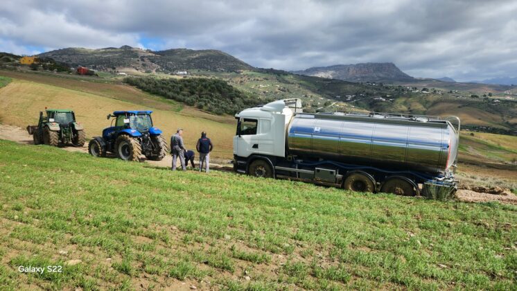 WhatsApp Image 2026 02 16 at 09.56.06 1