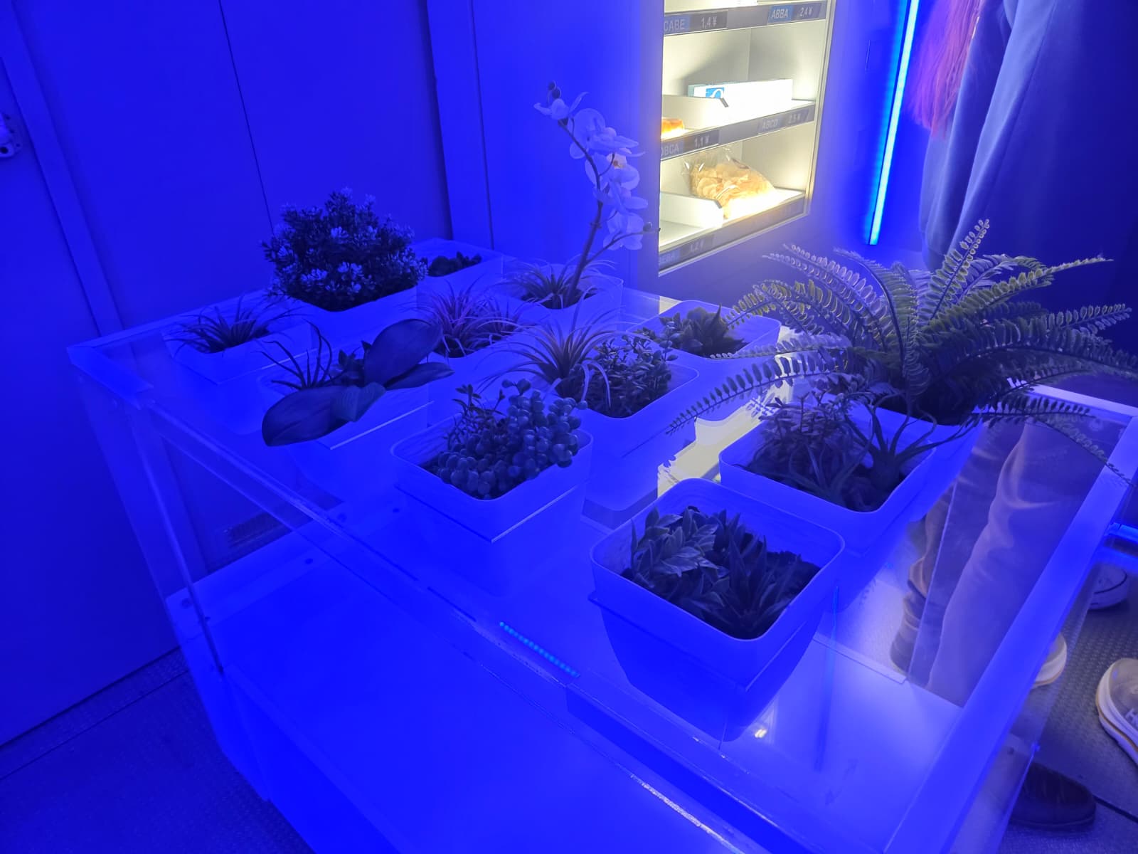 WhatsApp Image 2026 02 16 at 11.15.24