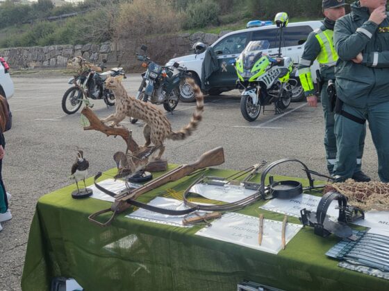 WhatsApp Image 2026 02 19 at 13.41.37 6