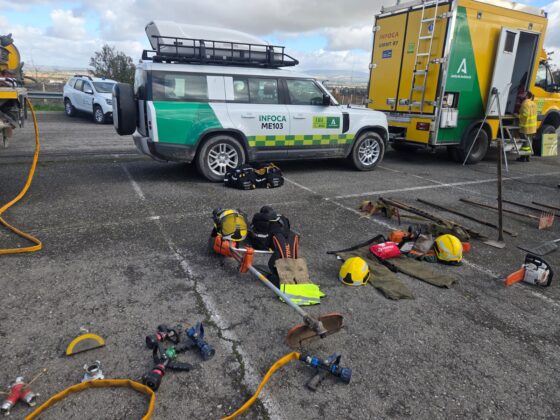 WhatsApp Image 2026 02 19 at 13.41.40 4