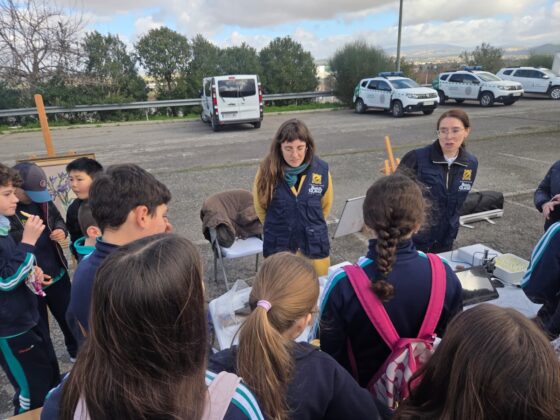 WhatsApp Image 2026 02 19 at 13.41.41