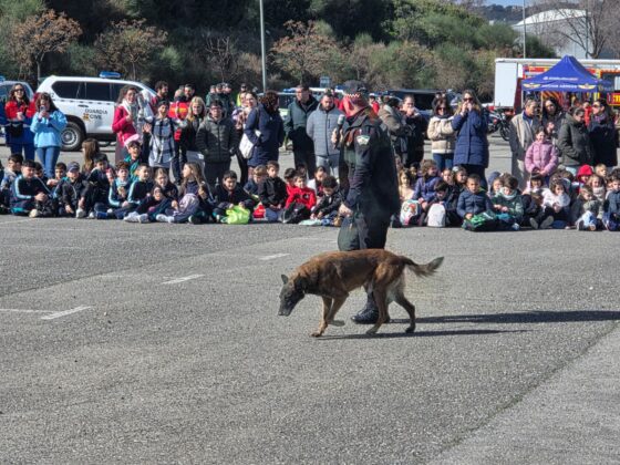 WhatsApp Image 2026 02 19 at 13.41.42 2