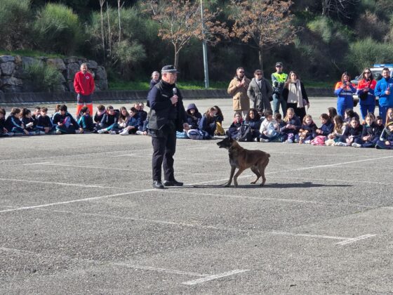 WhatsApp Image 2026 02 19 at 13.41.42