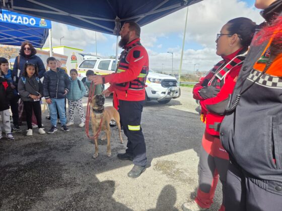 WhatsApp Image 2026 02 19 at 13.41.43 1