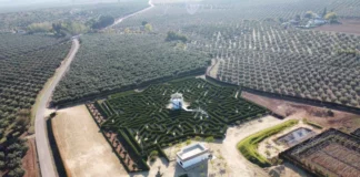 El programa LEADER 2014-2022 inyecta 43 millones de euros en la provincia de Málaga para revitalizar el medio rural