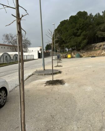 650070277 1230759082566364 1480211626039114629 n