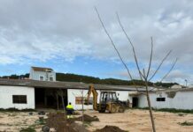 La piscina municipal, el recinto ferial y los parques de Villanueva del Trabuco estrenan 40 nuevos árboles