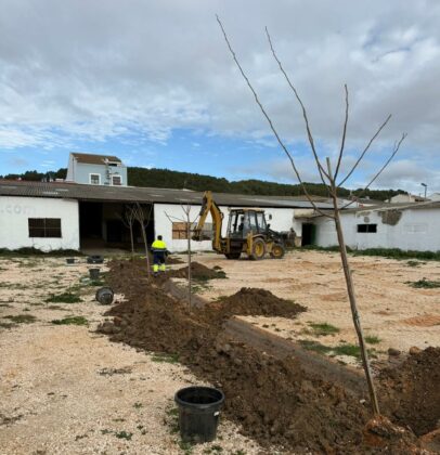 650838002 1230759065899699 2649420413007371820 n e1773306519482