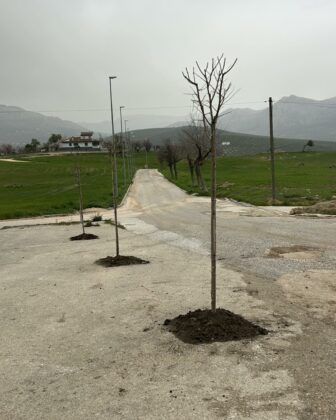 651143426 1230759072566365 6776943414740113028 n