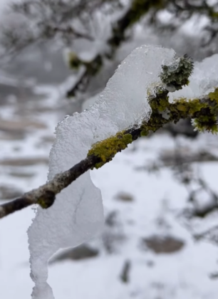 Captura de pantalla 202l6 03 10 131441
