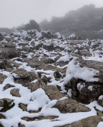 Captura de pantalla 20jklj26 03 10 131538