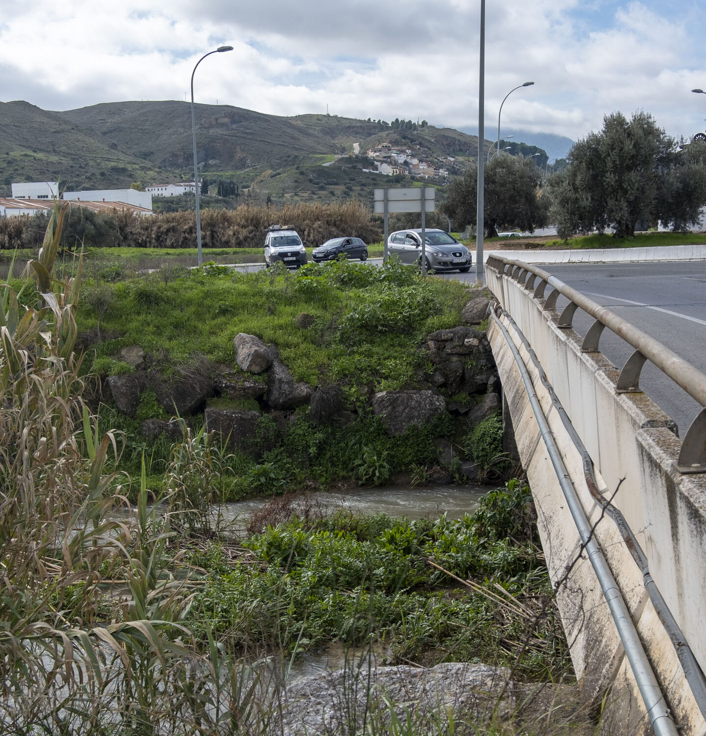 DSCF7341 1 e1773048595343