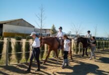 Domina la equitación con Equialia Equestrian Center: clases de doma, salto y monta a la amazona