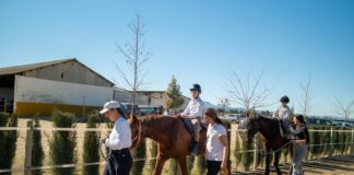 Domina la equitación con Equialia Equestrian Center: clases de doma, salto y monta a la amazona