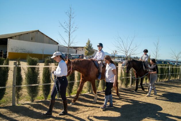 WhatsApp Image 2026 03 02 at 11.09.30 1