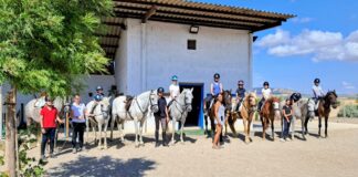 Domina la equitación con Equialia Equestrian Center: clases de doma, salto y monta a la amazona