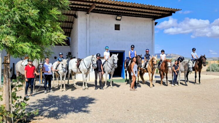 WhatsApp Image 2026 03 02 at 11.13.33 2