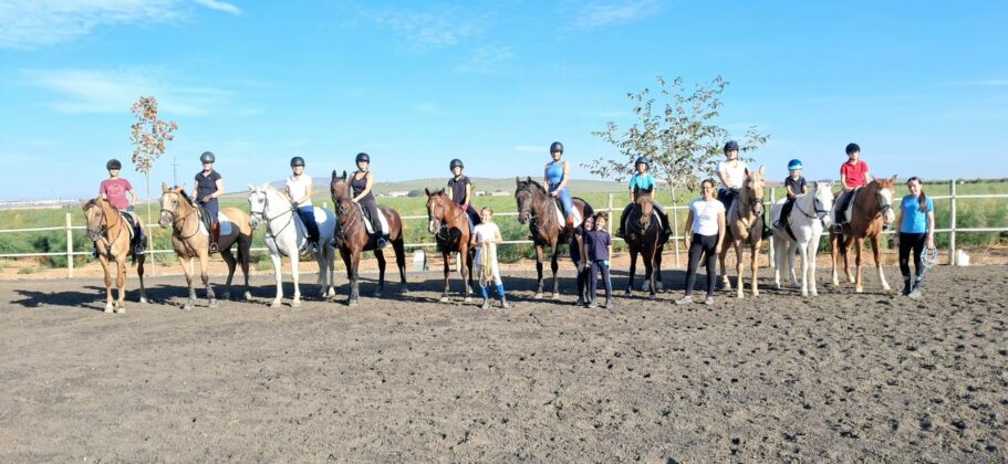 WhatsApp Image 2026 03 02 at 11.13.33 3