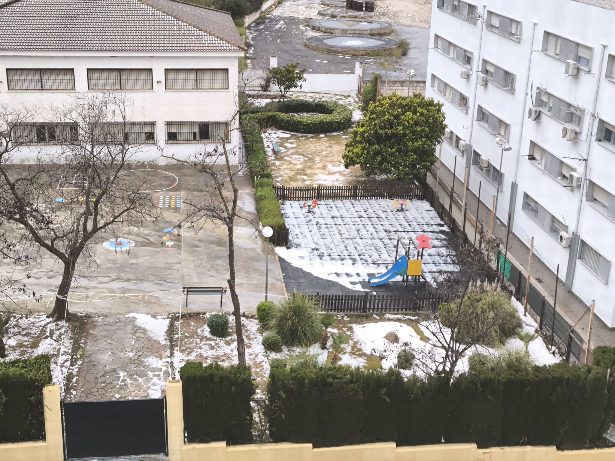 WhatsApp Image 2026 03 04 at 13.48.21