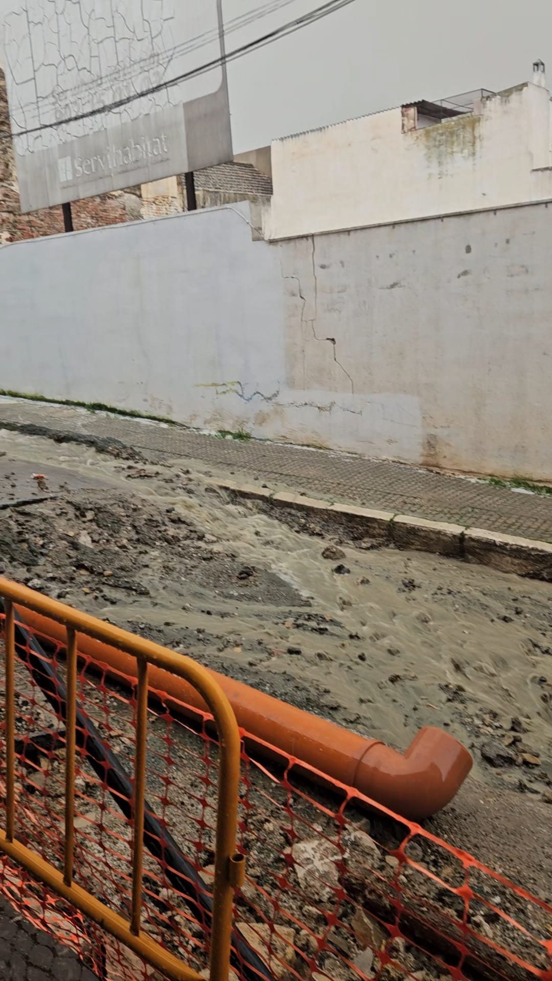 WhatsApp Image 2026 03 04 at 14.19.50 3