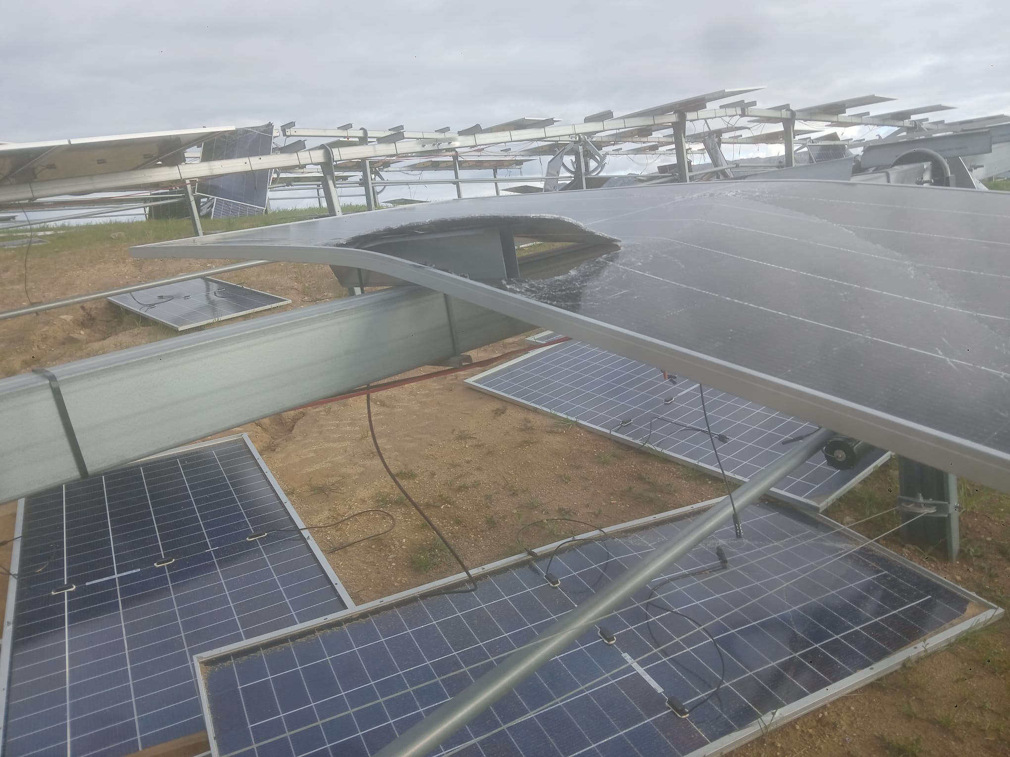 WhatsApp Image 2026 03 09 at 11.02.26 1